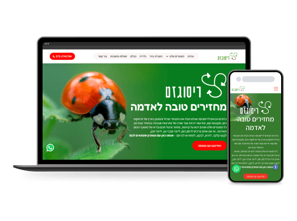 ריסוגזם